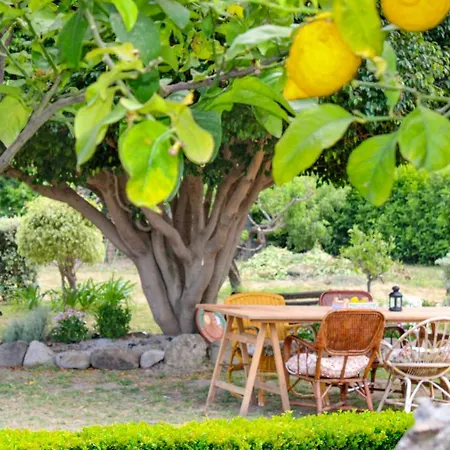 La Casa Di Lina - Capo D'orlando, Casa Con Ampio Giardino Capo d'Orlando