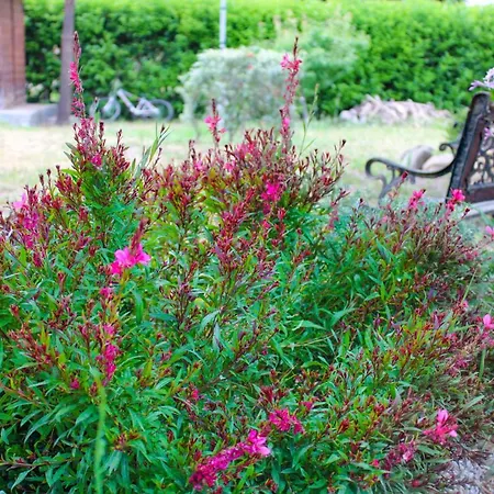 La Casa Di Lina - Capo D'orlando, Casa Con Ampio Giardino